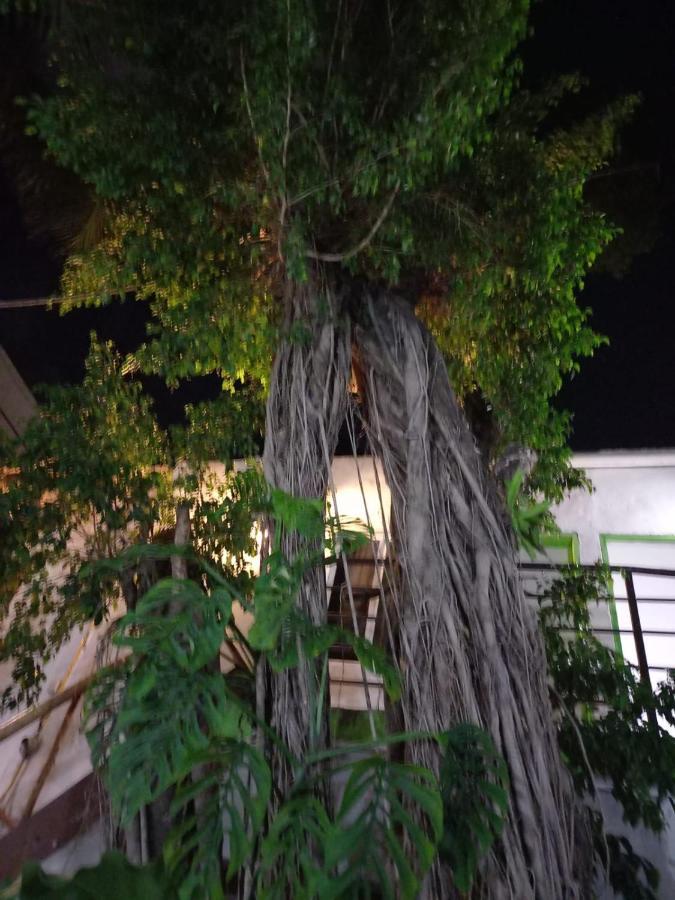 Mundo Maya Tulum Extérieur photo